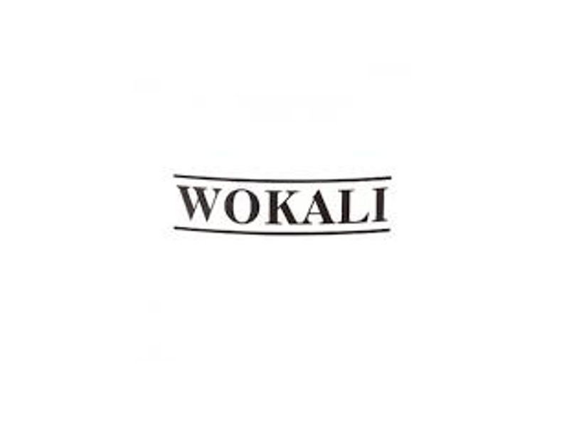 Wokali organic professional styling hair spray with green tea and keratin 250 ml