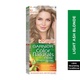 Garnier nature hair color no8.1 light ash