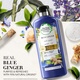 HERBAL ESSENCES BIO RENEW BLUE GINGER  CONDITIONER 400 ML PURIFY