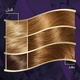 Koleston hair color maxi 50 ml 307/3 hazelnut