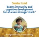 Similac gold no2 800gm