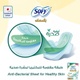 SOFY  AB MUSK  LARGE 28 PADS