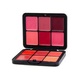 FOREVER52 ULTRA FILTER BLUSH PALETTE 12CLR