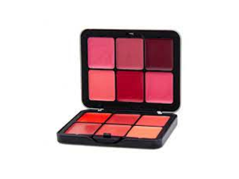 FOREVER52 ULTRA FILTER BLUSH PALETTE 12CLR