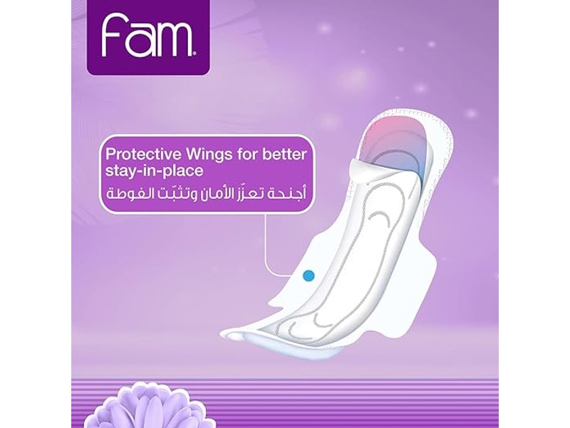 Fam normal classic pads with wings 30 pcs