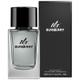 Burberry mr burberry for men - eau de parfum 100ml