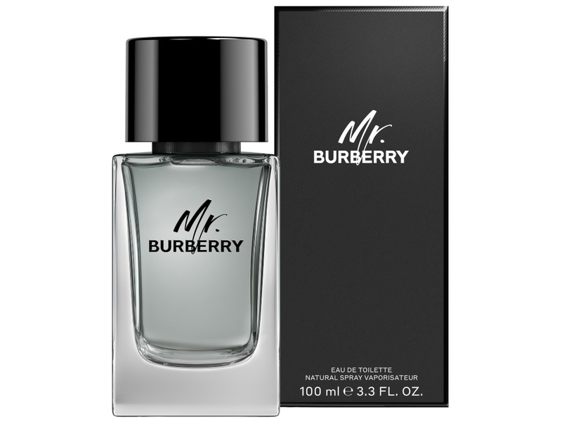 Burberry mr burberry for men - eau de parfum 100ml