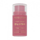 REVOLUTION FAST BASE BLUSH STICK BLUSH