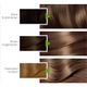 Garnier natural hair color no6 dark blonde