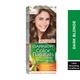 Garnier natural hair color no6 dark blonde