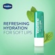 VASELINE MINT LIP CARE 4.8GM