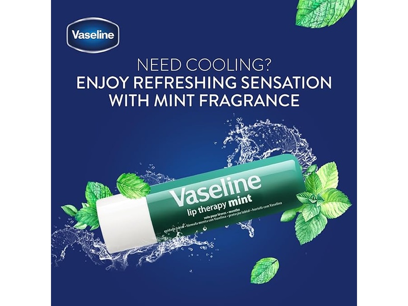 VASELINE MINT LIP CARE 4.8GM