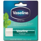 VASELINE MINT LIP CARE 4.8GM