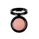 PIERRE RENE ROUGE POWDER 09 DELICATE PINK