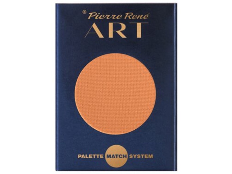 PIERRE RENE ART PALETTE MATCH SYSTEM 013