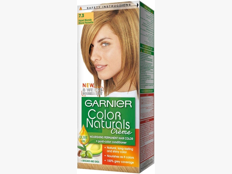 Garnier hair color hazel blonde 7.3