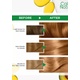 Garnier hair color hazel blonde 7.3