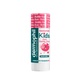 DERMOPHIL INDIEN KIDS PROTECTION LIPS 4G^