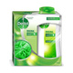 Dettol shower gel 250 ml original