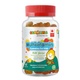 GUMAZING MULTIVITAMIN FOR KIDS 60