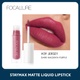 FOCALLURE- STAYMAX LIP 09 FA-134