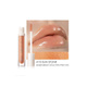 FOCALLURE LIP GLOW 10 SUN STONE  FA 153 SHINE LIP GLOSS