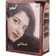 Amir's hair color henna 10 gm chestnut