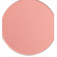 MIYO HIGHLY PIGMENTED MATTE EYESHADOW 15