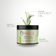 MIELLE ROSEMARY MINT HAIR MASQUE 340GM