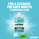 LISTERINE MOUTHWASH COOL MINT 250ML