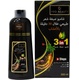 RED APPLE DARK COFFEE HAIR DYE SHAMPOO 500ML