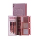 CHRISTINE 3IN1 PALETTE NOTEBOOK EYESHADOW & HIGHLIGHTER & BLUSH CH-K2309