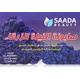 SAADA BEAUTY BLUE NILE SOAP 125G