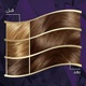 Koleston maxi hair color 306/1 dark ash blonde