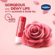 VASELINE ROSY LIPS STICK 4.8GM