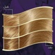 Koleston maxi hair color 309/1 light ash blonde