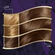 KOLESTON MAXI HAIR COLOR 306/0 DARK BLOND