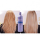 Shimmer lights shampoo 473ml blonde & silver