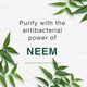 Himalaya purifying neem peel off mask - 150ml