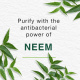 Himalaya purifying neem mask - 150ml