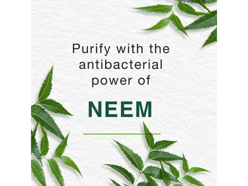 Himalaya purifying neem mask - 150ml