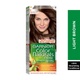 Garnier nature hair color no5 light brown