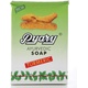 Pyary ayurvedic soap turmeric