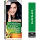 Garnier hair color nature 2.1 blue black