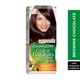 Garnier hair color nature 4.15 chocolate brown