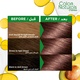 Garnier hair color nature 6.7 vhocolate brown