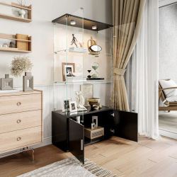 Vitrina, vitrina con cerradura, vitrina de colección de 2 puertas, mueble expositor y 2 estantes, estante expositor, blanco/negro