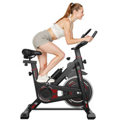 Bicicleta estática de ejercicio GartistGO con resistencia, para el hogar, silenciosa, con volante de inercia pesado de 10 kg y monitor LCD, 120 kg