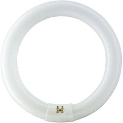 Tubo Fluorescente Circular 40w Ø40cm Trifosforo 6500k Luz Fria Philips