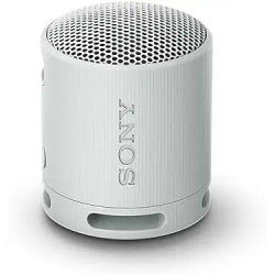 Sony Altavoz Bluetooth SRS-XB100, Ligero, Compacto, Altavoz Resistente al Agua y al Polvo IP67, hasta 16 h de batería, Correa Adaptable, Gris Claro